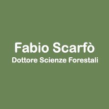 Fabio Scarfò
