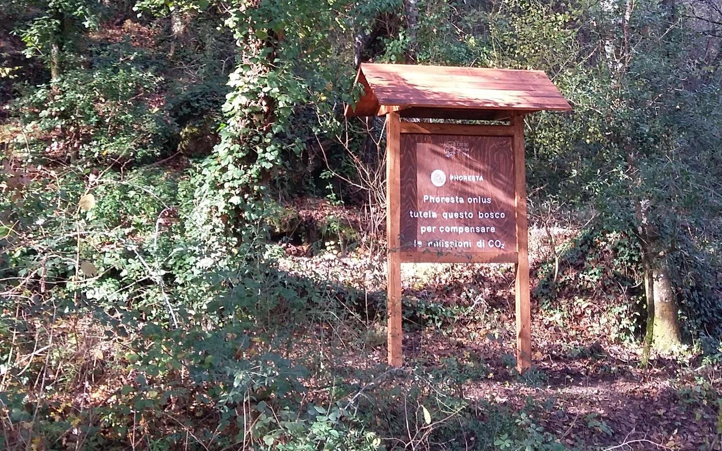 Phoresta progetto Parco Treja servizi ecosistemici bosco